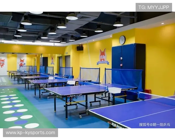 乒乓球俱乐部加强青少年技术训练的视频化资源建设，乒乓球俱乐部如何运营